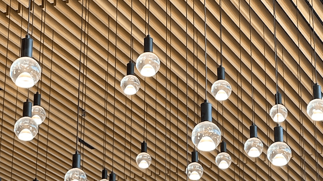 Missouri Botanical Garden image4